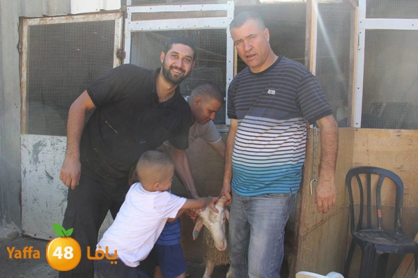 dabe7 ludj31 (43).JPG